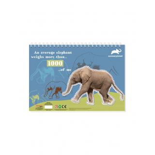 Elephant - Μπλοκ Ζωγραφικής Animal Planet 23x33 40 Φύλλα με Στενσιλ, Αυτοκόλλητα & Σελ. Χρωματισμού