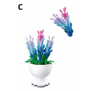 Sluban - Potted Plants - Φυτά σε Γλάστρες - Lavender