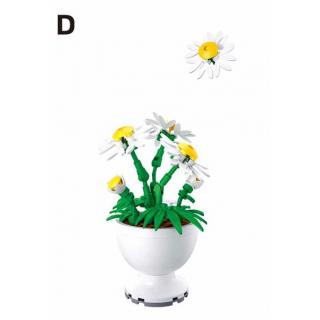 Sluban - Potted Plants - Φυτά σε Γλάστρες - Daisy