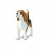 Μινιατούρες Safari - Beagle - Σκύλος Μπίγκλ