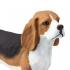 Μινιατούρες Safari - Beagle - Σκύλος Μπίγκλ